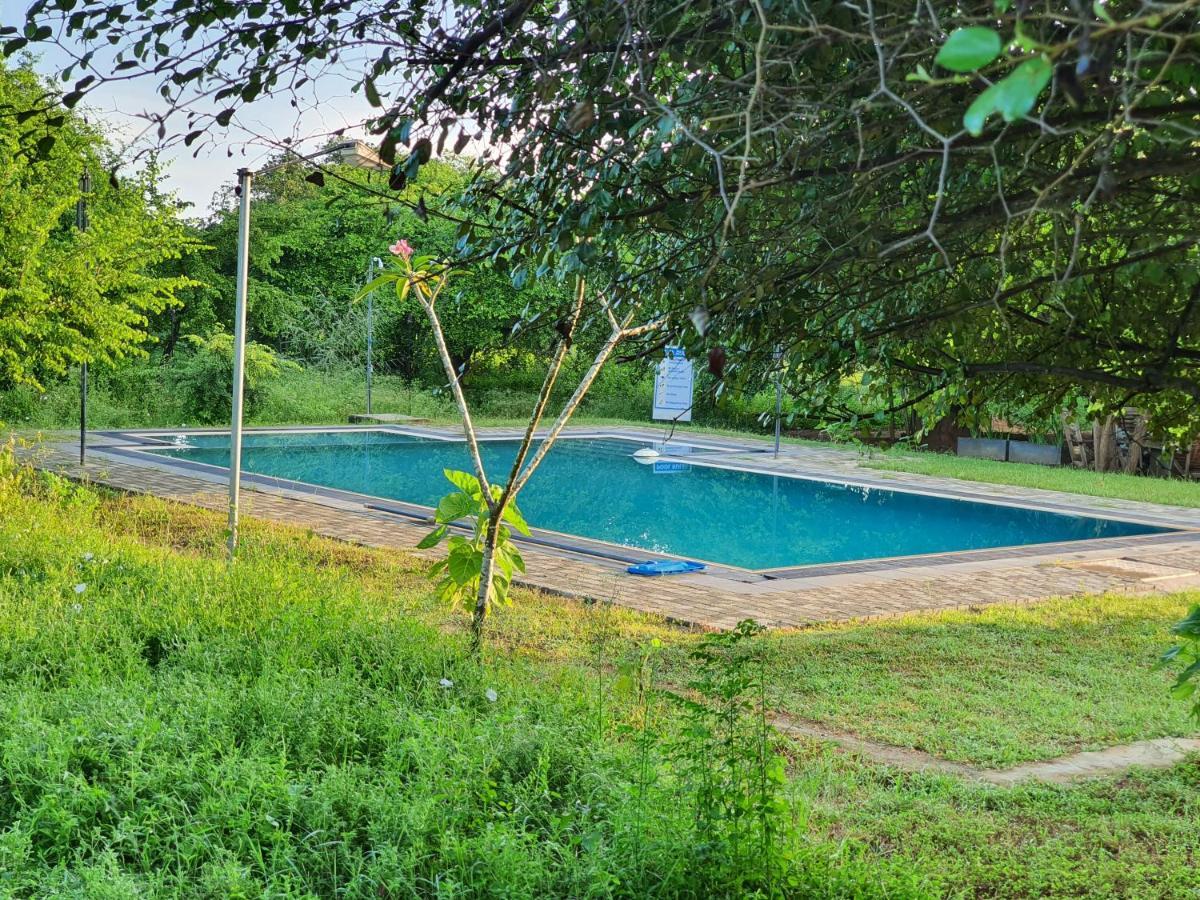 The Elephant Pass - Yala Tissamaharama Exterior foto