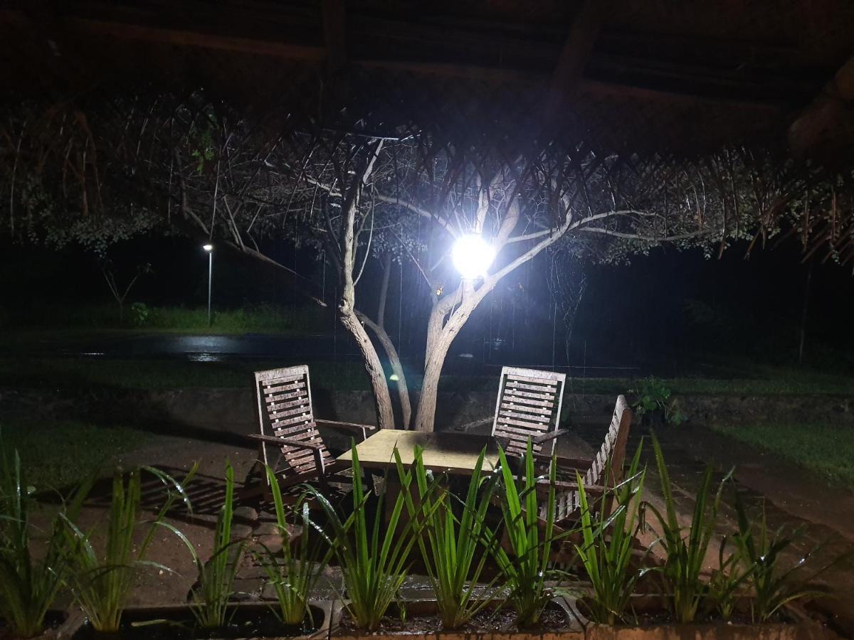 The Elephant Pass - Yala Tissamaharama Exterior foto